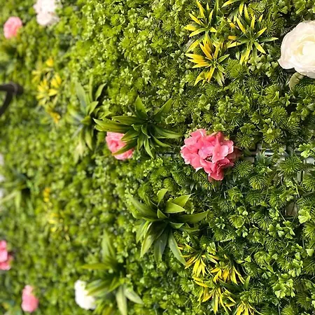 Snow Sheep - с две спални Apartmán *