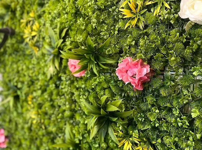 Snow Sheep - с две спални Appartement *